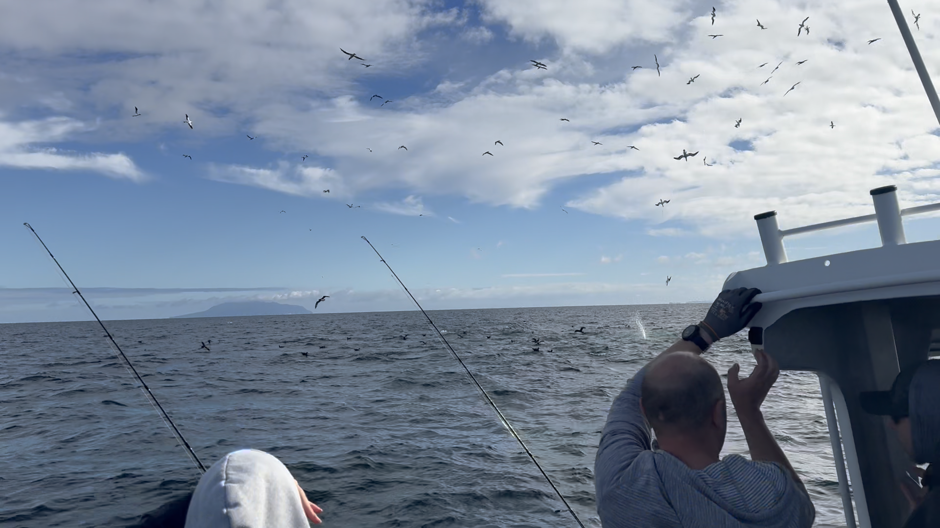 Anglers fishing rods-out under a work-up of diving gannets in the Hauraki Gulf, with Great Barrier Island on the horizon