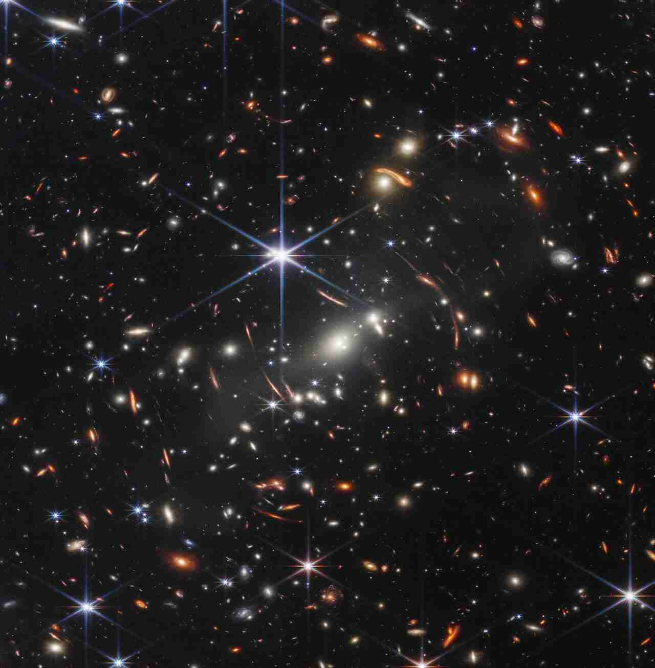 The Universe Is a Living Organism