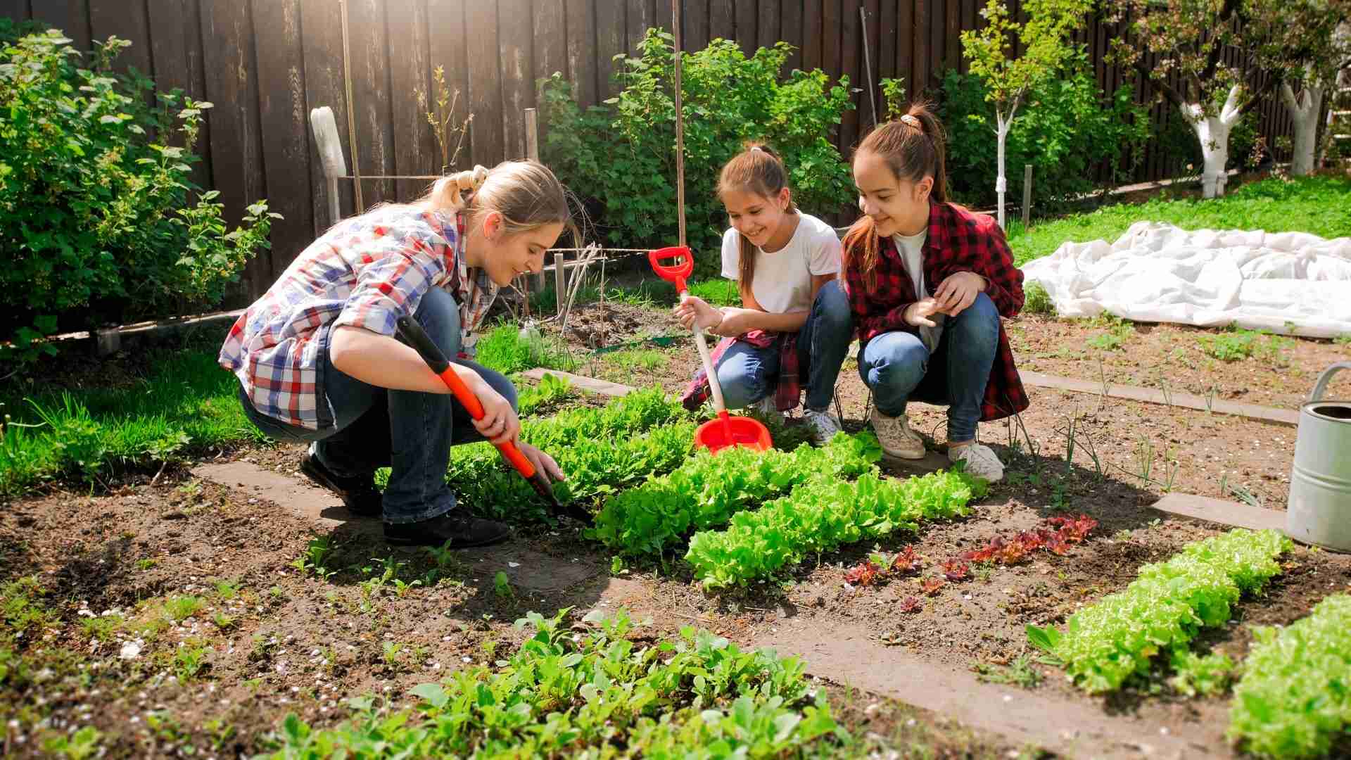 Family planting lettuce and greens in a raised bed in a spring vegetable garden