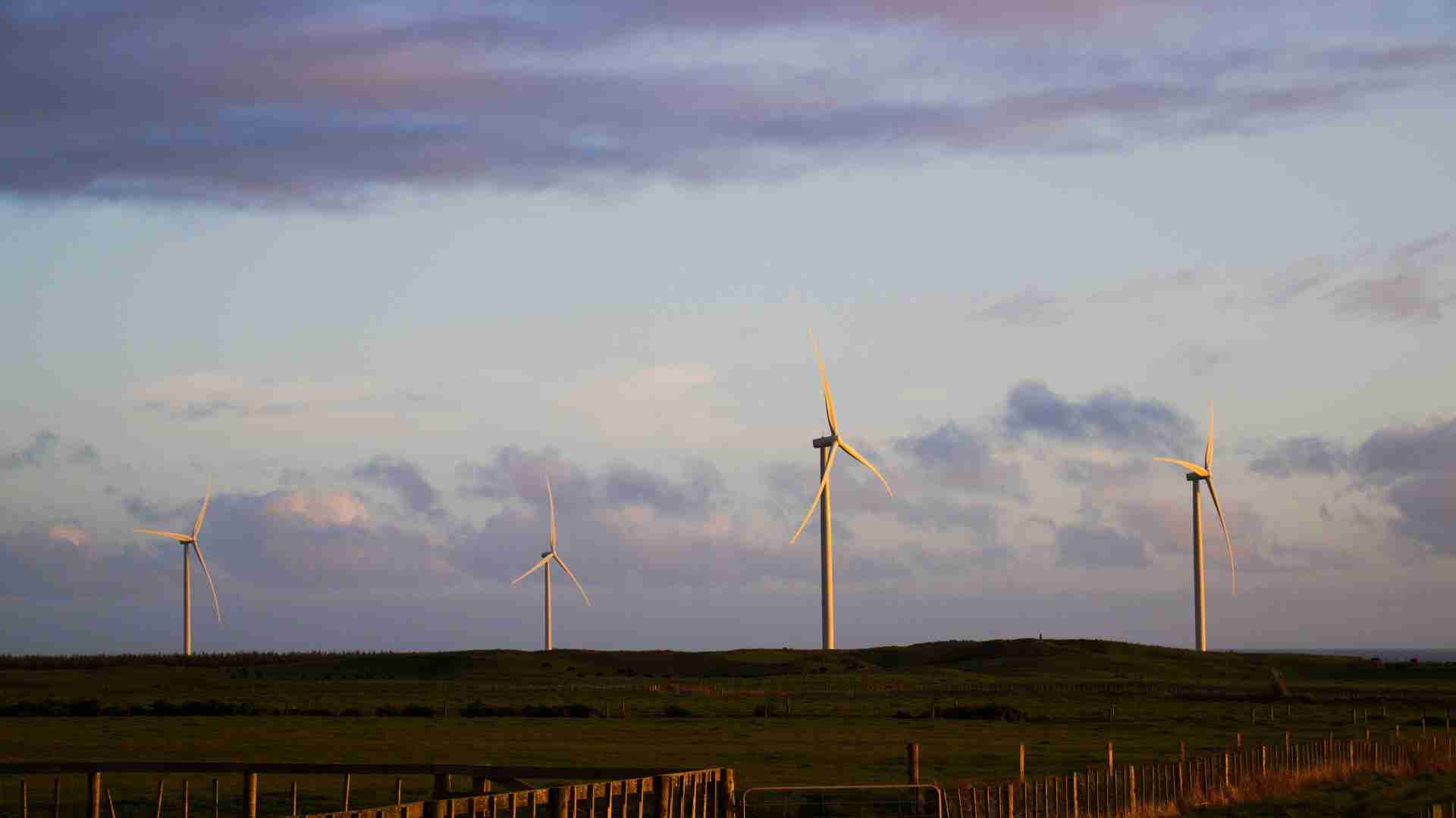 Wind turbines at the Waipipi Wind Farm in Taranaki, New Zealand