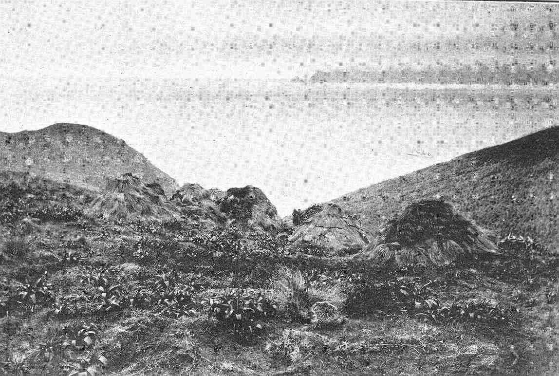 The makeshift huts built by the 15 Dundonald castaways on Disappointment Island, photographed shortly after their rescue in November 1907, with the rescue ship Hinemoa visible offshore