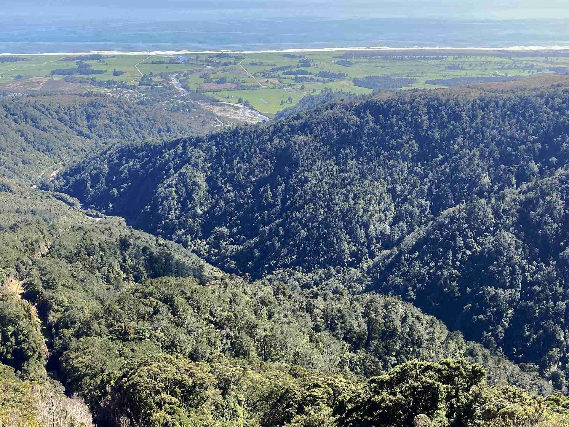 Bathurst’s fast-track bid to mine Denniston coal is sent back as incomplete over lizards and reserve consent
